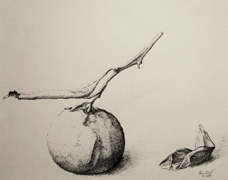 Orange and Leaf - Ray Perigo - Ink